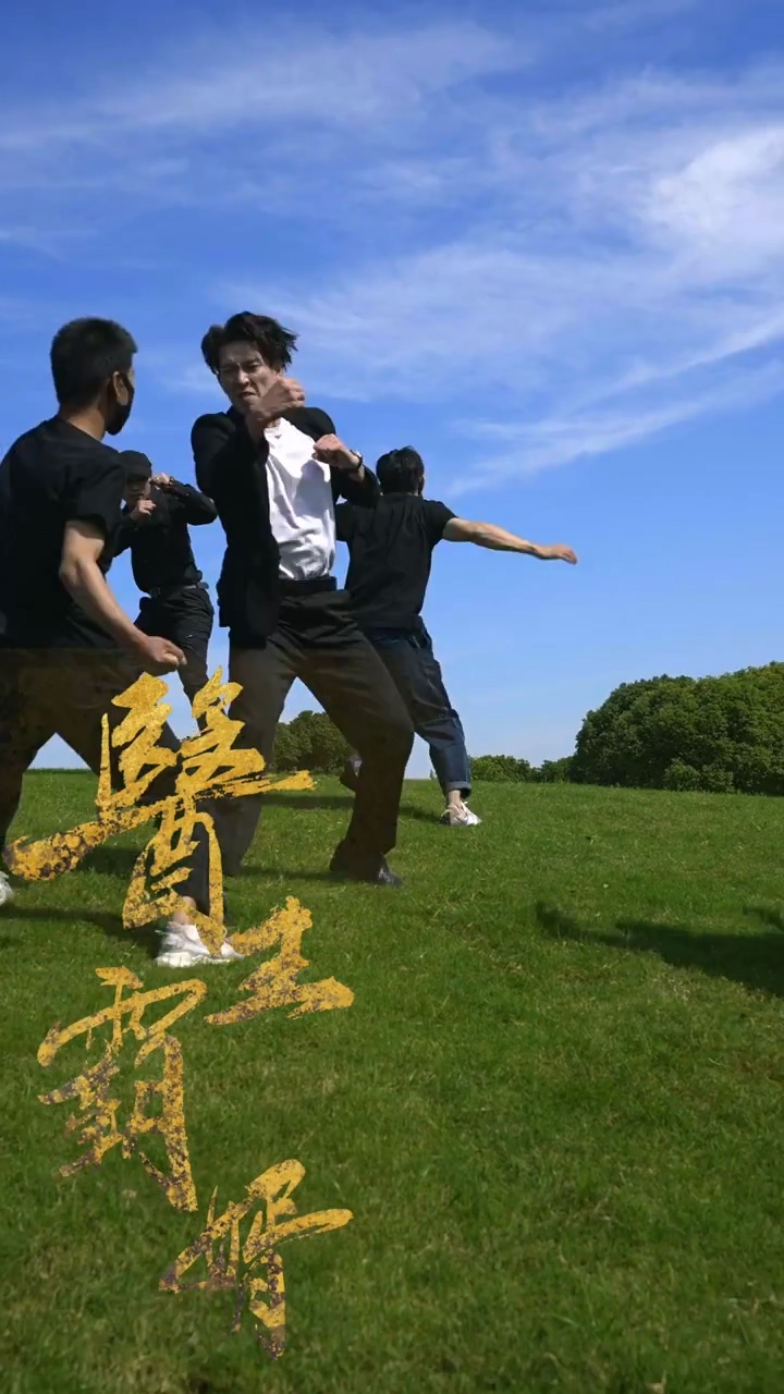 医王霸婿