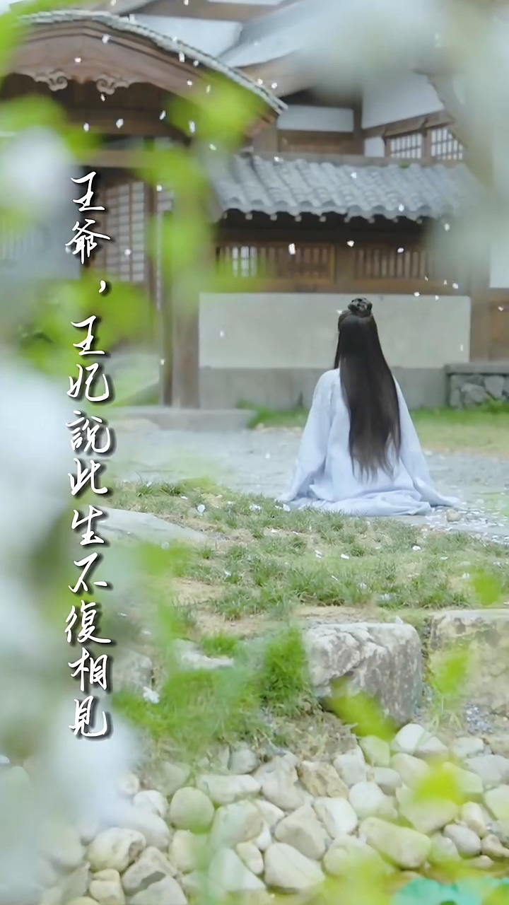 王爷,王妃说此生不复相见