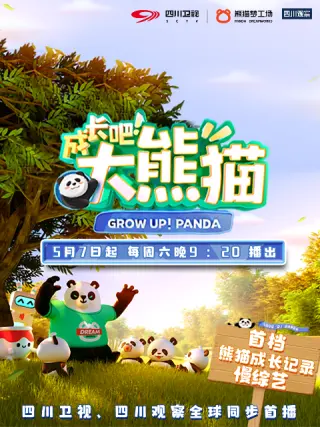 成长吧!大熊猫