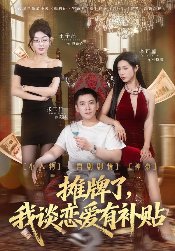 摊牌了,我谈恋爱有补贴