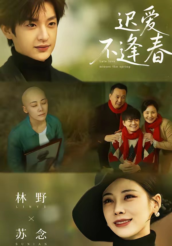 迟爱不逢春