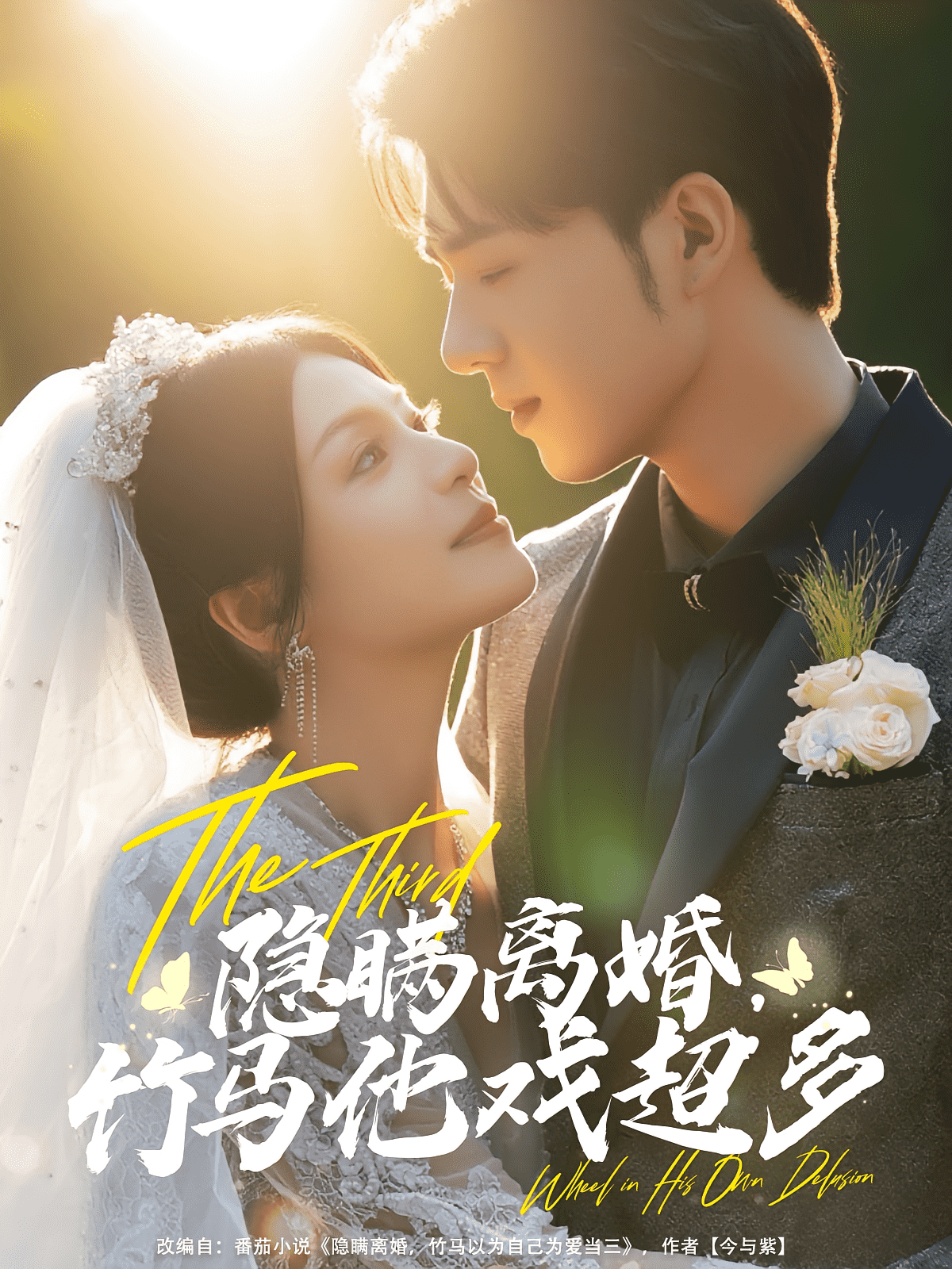 隐瞒离婚竹马他戏超多