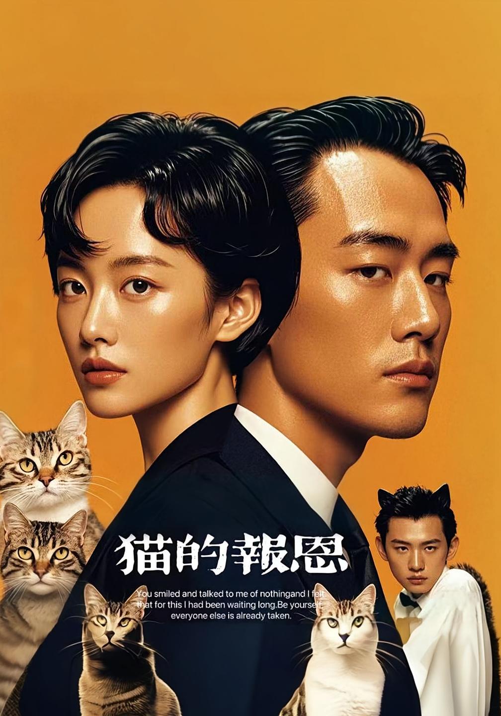 猫的报恩(短剧版)