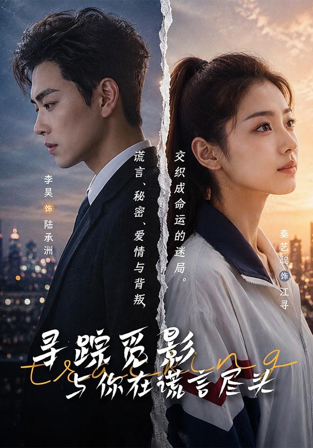 寻踪觅影:与你在谎言尽头