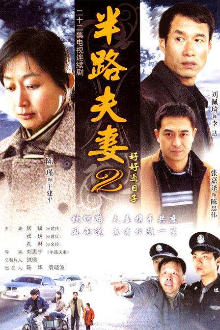 半路夫妻2