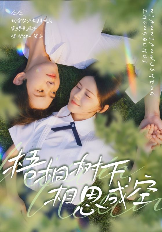 梧桐树下,相思成空