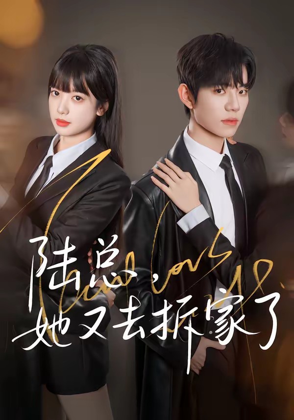 陆总,她又去拆家了