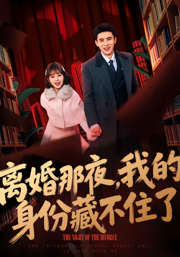 离婚那夜,我的身份藏不住了