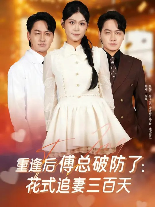 重逢后傅总破防了:花式追妻三百天