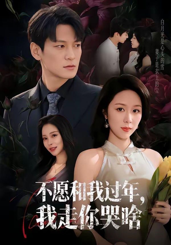 不愿和我过年,我走你哭啥