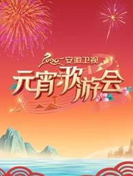 2026安徽卫视元宵歌游会