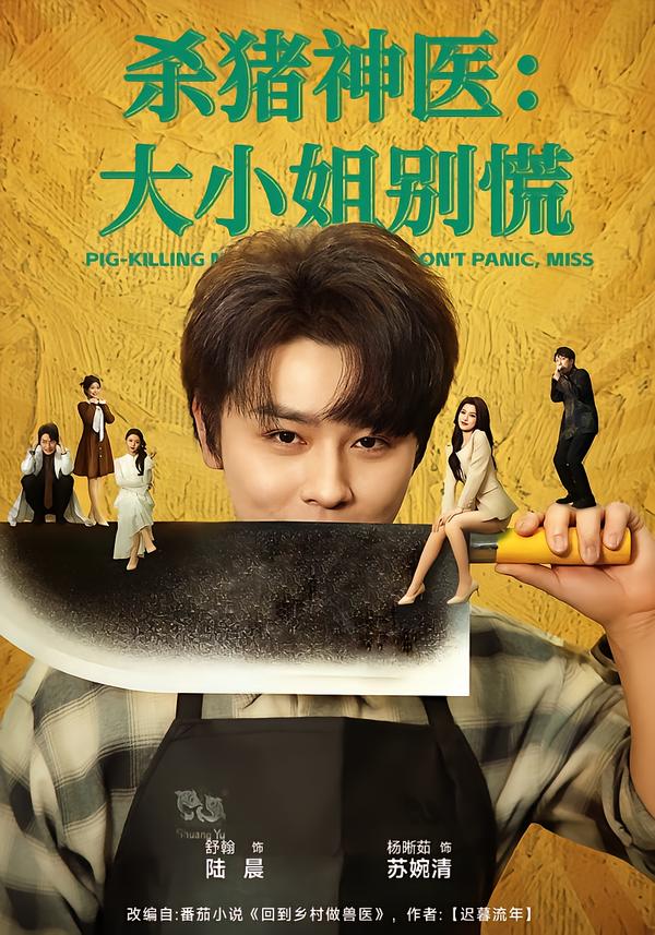 杀猪神医,大小姐别慌