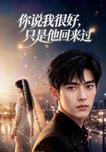 你说我很好,只是他回来过